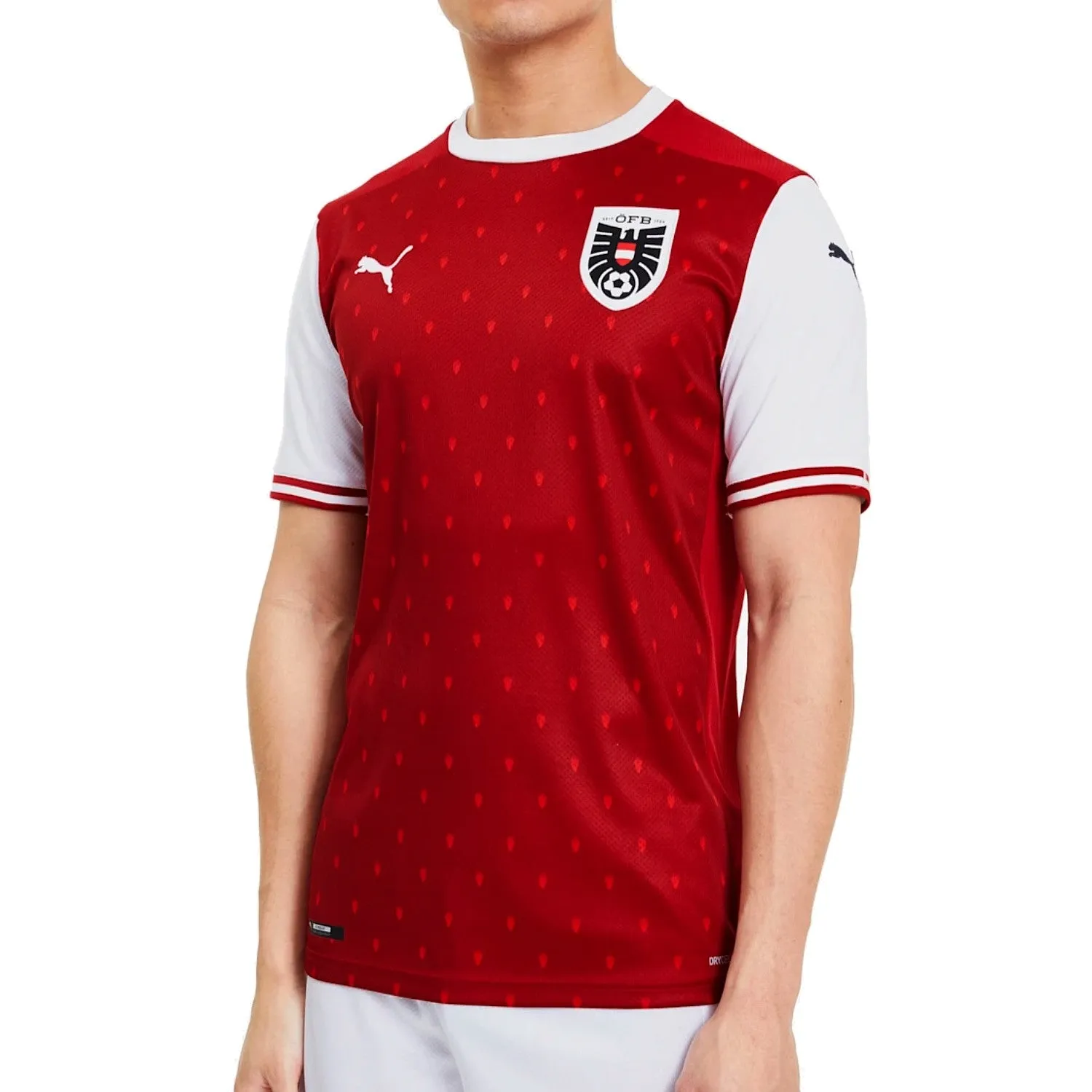 Austria national team Home soccer jersey 2020/21 - Puma